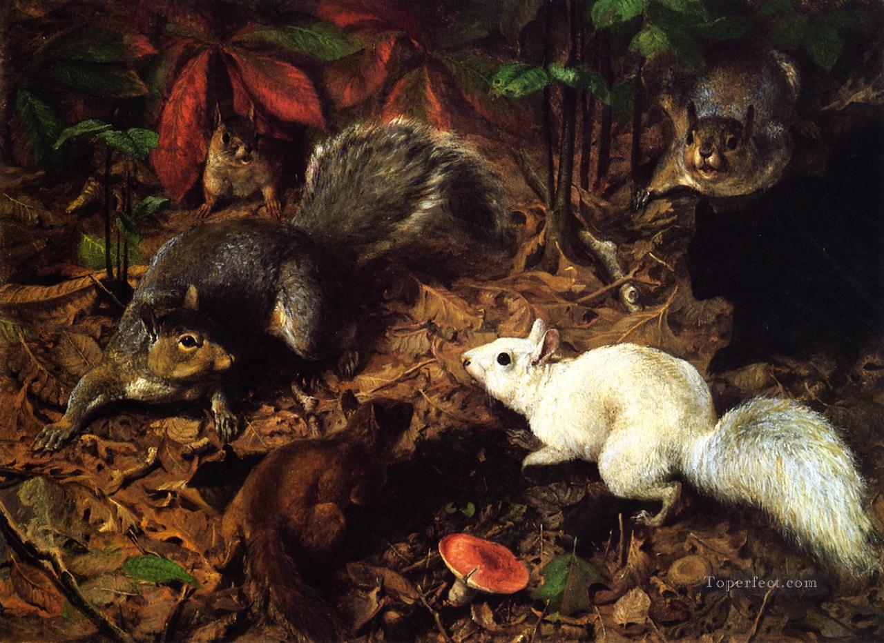 Squirrels known as The White Squirrel William Holbrook Beard Oil Paintings